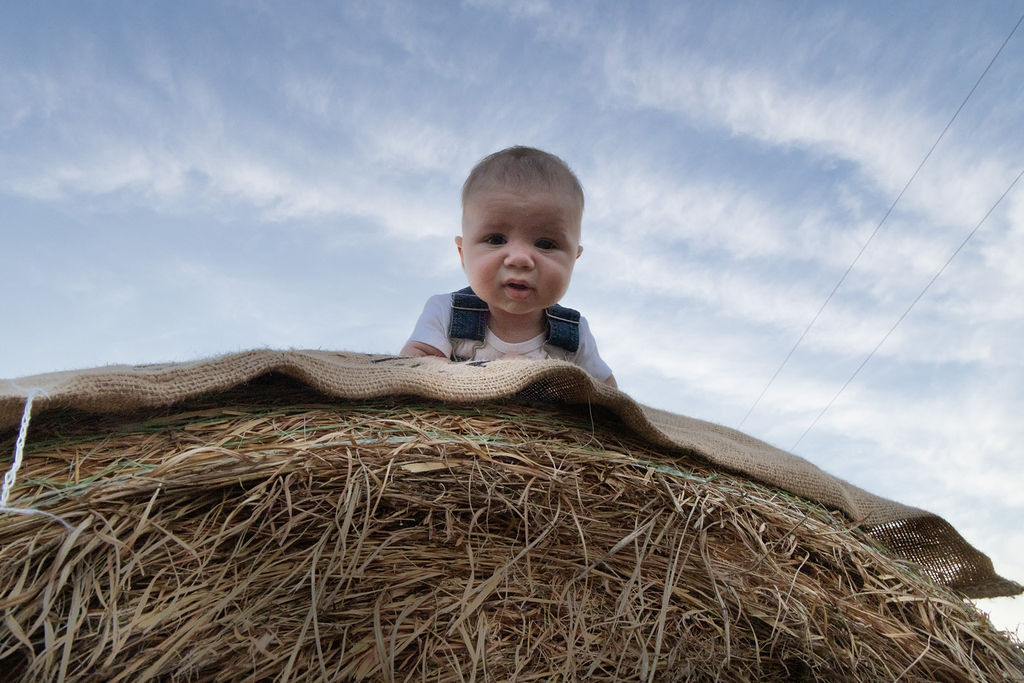 Baby looking over a hay bale beneath a wide sky